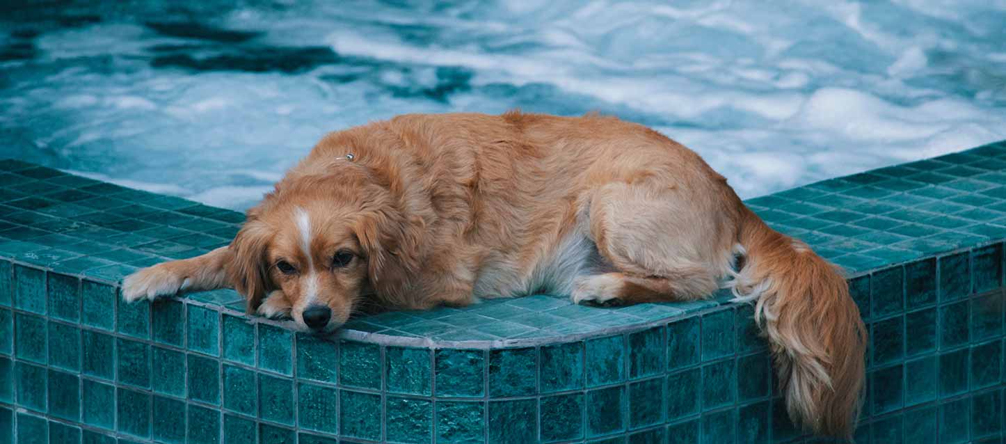21.-no-hacer-dormir-verano
