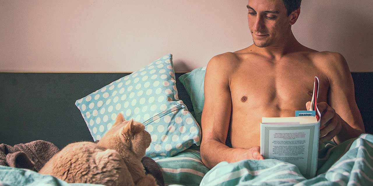 gato en colchón con hombre leyendo un libro gato en colchón con hombre leyendo un libro