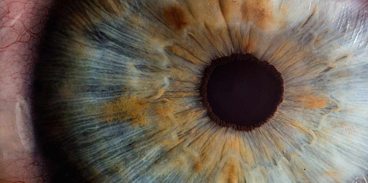 pupila de ojo con macro pupila de ojo con macro