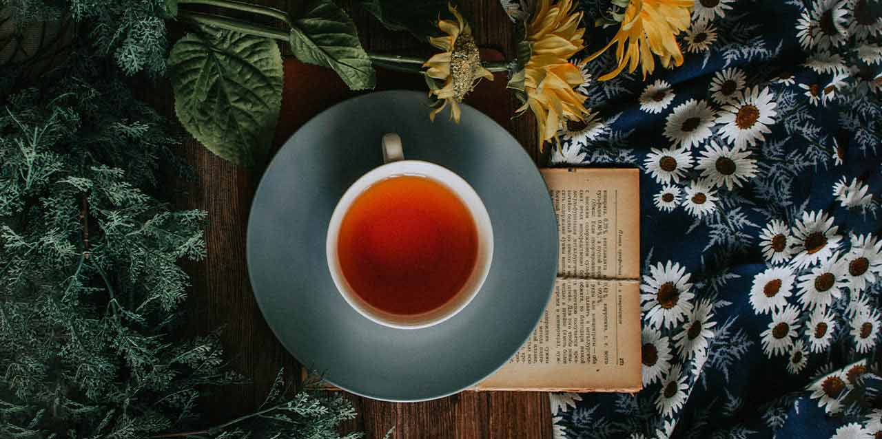 5-infusiones-que-inducen-el-sueño-1 infusión encima de libro