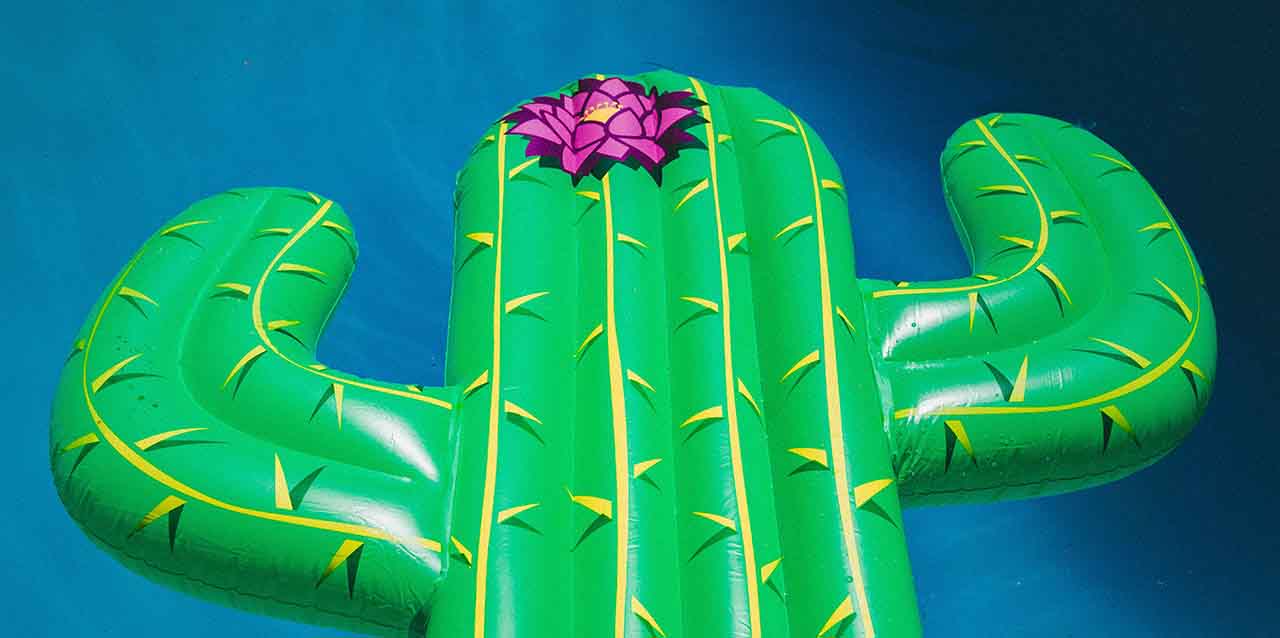 colchoneta de agua con forma de cáctus