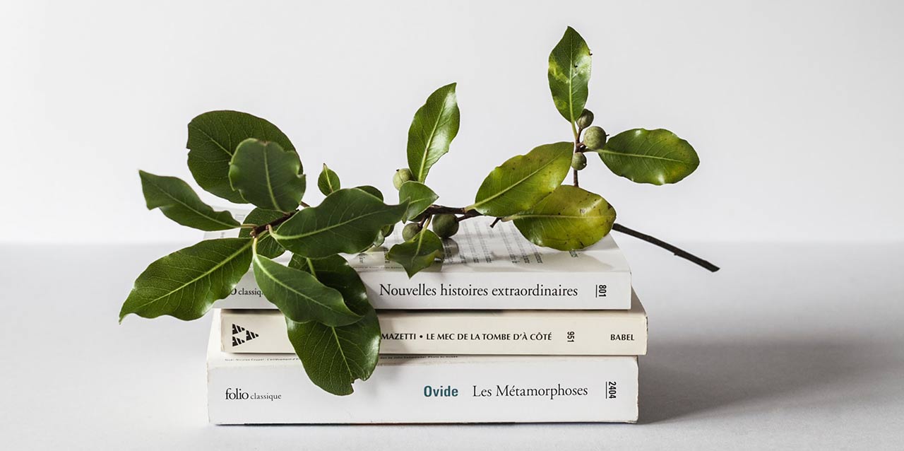 rama encima de libros