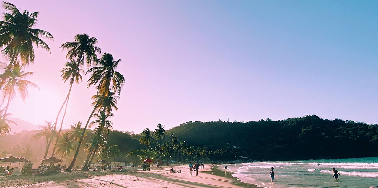 playa con palmeras
