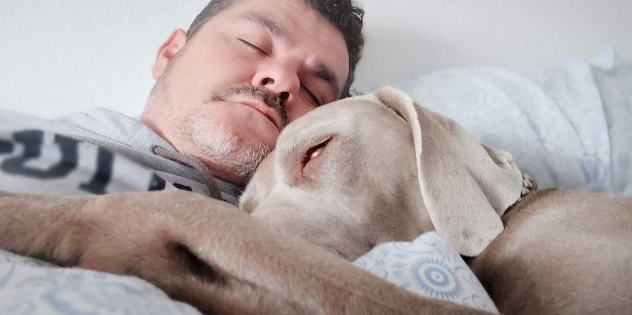 perro y hombre durmiendo