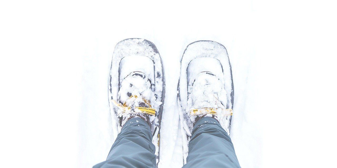raquetas de nieve