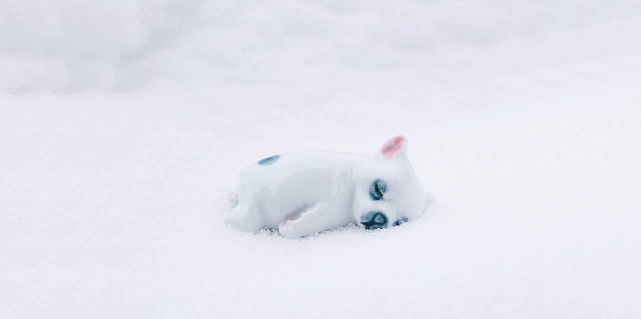 perro de porcelana en nieve perro de porcelana en nieve