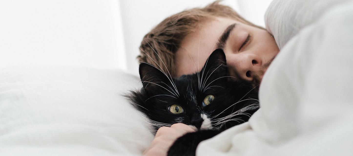 Qué significa soñar con gatos chico durmiendo abrazando a su gato de color negro