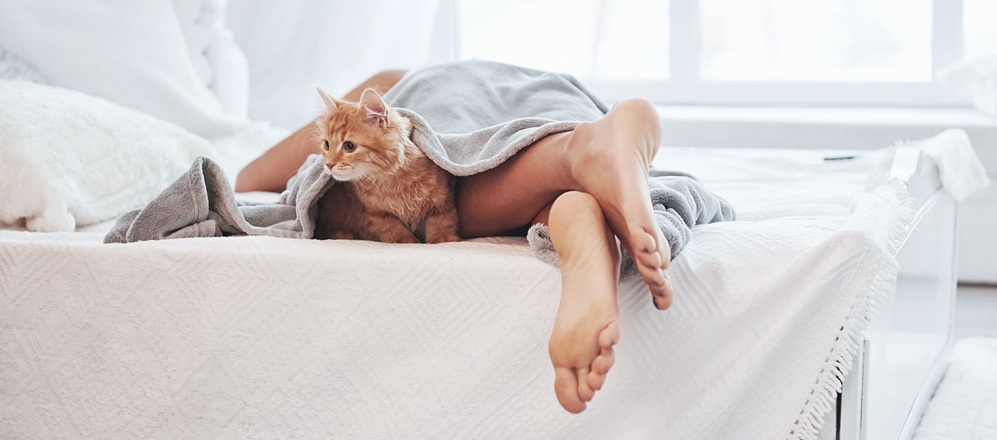 mujer durmiendo boca abajo en la cama con un gato marron claro en sus piernas mirando a un lado