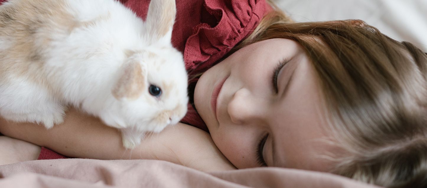 Niña pequeña con ropa roja durmiendo en la cama con un conejo encima suyo